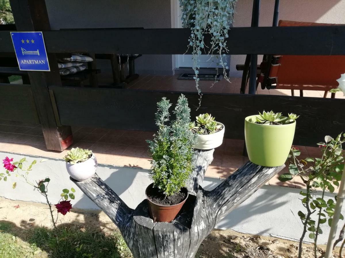 Apartman Adam Rakovica Exteriér fotografie